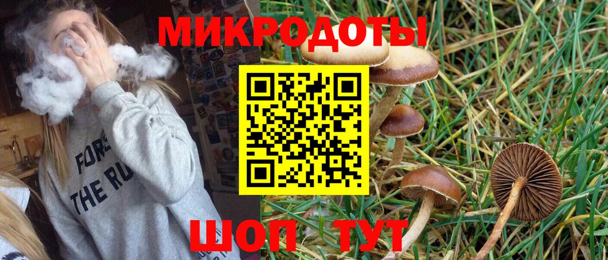 Рославль  Псилоцибиновые грибы мицелий  Вход с VPN 