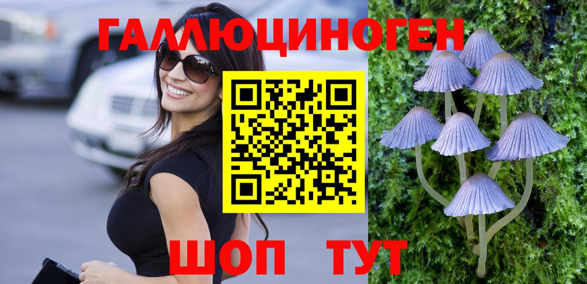 Галлюциногенные грибы Psilocybine cubensis Рославль